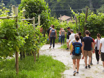 CAMMINATA SCOPRIRE LE RIVE