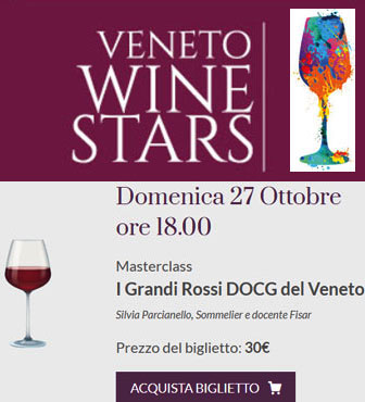 2024 conegliano veneto wine stars degustazione dei grandi vini ii grandi rossi DOCG del veneto