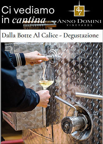 roncade 47 anno domini vineyards degustazione vini dalla botte al calice