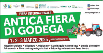 2025 GODEGA DI SANTìURBANO ANTICA FIERA DI GODEGA 
FIERA INTERNAZIONALE 