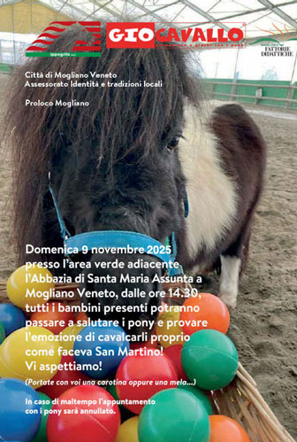mogliano veneto gio cavallo