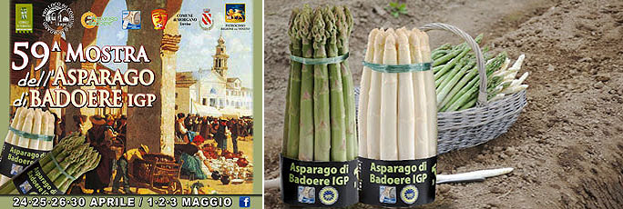 MORGANO BADOERE MOSTRA DELL'ASPARAGO DI BADOERE IGP 