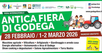 godega di sant'urbano antica fiera di godega