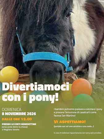 mogliano veneto festa di san martino san martin a mojan