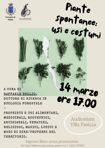 piante spontanee usi e costumi