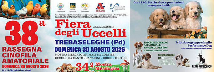 trebaseleghe fiera degli uccelli e rassegna cinofila amatoriale