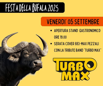 TURBO MAX - COVER 883 MAX PEZZALI
