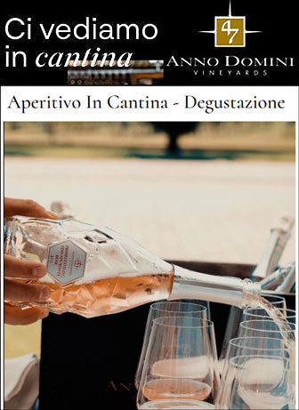 aperitivo in cantina degustazione vini roncade cantina 47 anno domini vineyards