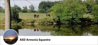 Armonia Equestre 