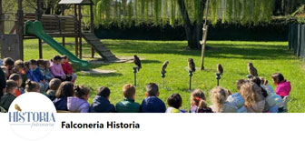 FALCONERIA HISTORIA