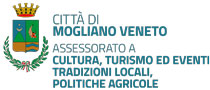 comune mogliano veneto 