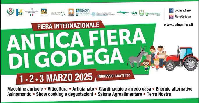 2024 ANTICA FIERA DI GODEGA