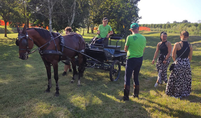  RONCADE FIERA DEI OSEI FIERA DEGLI UCCELLI PASSEGGIATA A CAVALLO