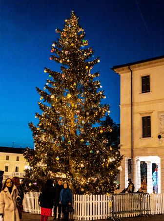 albero di natale a montebelluna